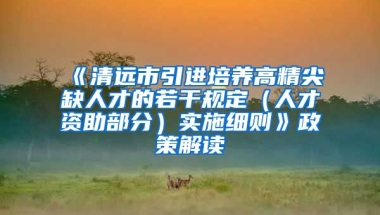 《清远市引进培养高精尖缺人才的若干规定（人才资助部分）实施细则》政策解读