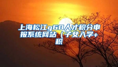 上海松江g60人才积分申报系统网站（子女入学+积