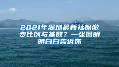 2021年深圳最新社保缴费比例与基数？一张图明明白白告诉你