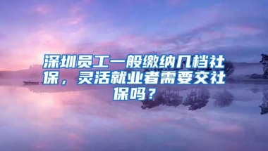 深圳员工一般缴纳几档社保，灵活就业者需要交社保吗？