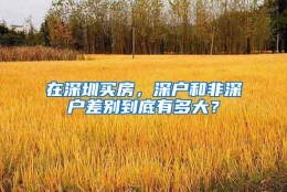 在深圳买房，深户和非深户差别到底有多大？