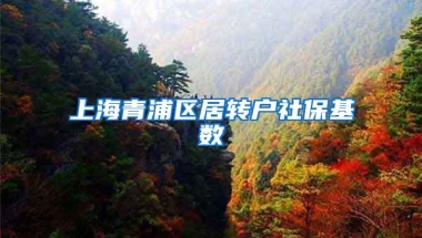 上海青浦区居转户社保基数