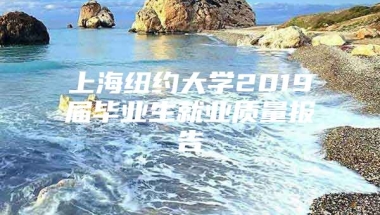 上海纽约大学2019届毕业生就业质量报告