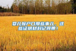 婴儿报户口那些事儿，这些证明材料记得带！