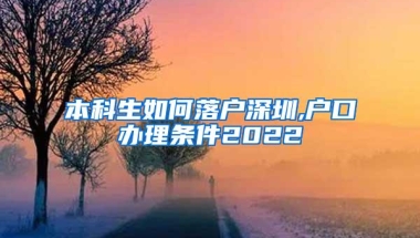 本科生如何落户深圳,户口办理条件2022