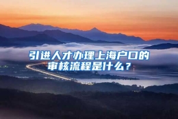 引进人才办理上海户口的审核流程是什么？