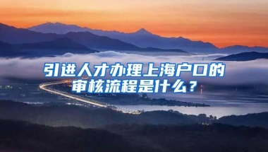 引进人才办理上海户口的审核流程是什么？