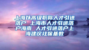 上海以高级职称人才引进落户 上海市人才引进落户海南 人才引进落户上海建议社保基数