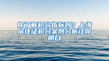 你了解积分指标吗？上海居住证积分案例分析让你明白