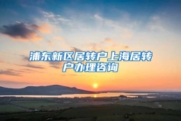 浦东新区居转户上海居转户办理咨询