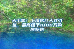 大手笔！上海松江人才引进，最高给予1000万购房补贴