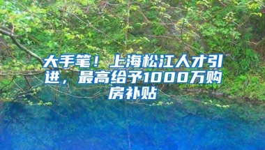 大手笔！上海松江人才引进，最高给予1000万购房补贴