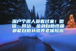 深户个缴人员看过来！微信、网站、金融自助终端都能自助补缴养老保险啦