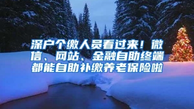 深户个缴人员看过来！微信、网站、金融自助终端都能自助补缴养老保险啦