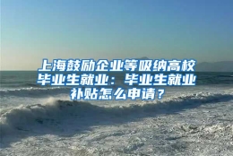 上海鼓励企业等吸纳高校毕业生就业：毕业生就业补贴怎么申请？