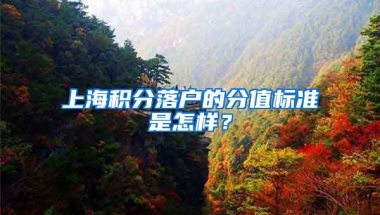 上海积分落户的分值标准是怎样？