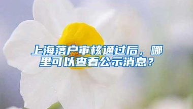 上海落户审核通过后，哪里可以查看公示消息？