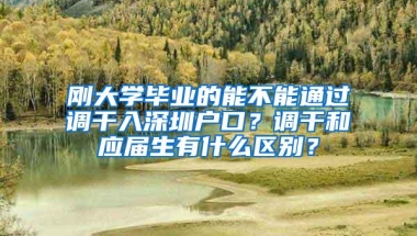 刚大学毕业的能不能通过调干入深圳户口？调干和应届生有什么区别？