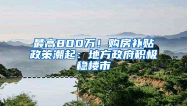 最高800万！购房补贴政策潮起：地方政府积极稳楼市