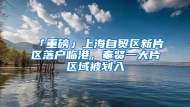 「重磅」上海自贸区新片区落户临港，奉贤一大片区域被划入