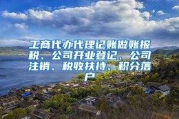 工商代办代理记账做账报税、公司开业登记、公司注销、税收扶持、积分落户