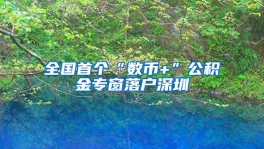 全国首个“数币+”公积金专窗落户深圳