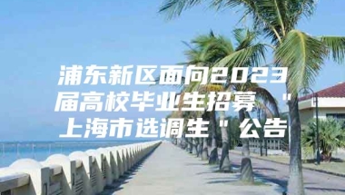 浦东新区面向2023届高校毕业生招募 ＂上海市选调生＂公告