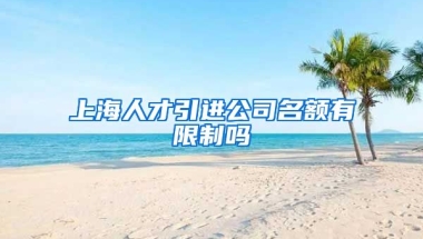 上海人才引进公司名额有限制吗