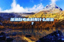 深圳自考本科有什么用处？