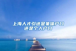 上海人才引进是集体户口还是个人户口