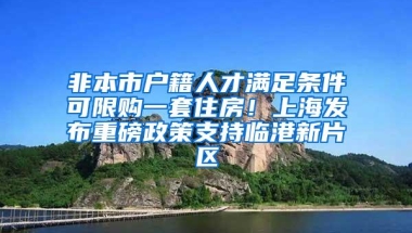 非本市户籍人才满足条件可限购一套住房！上海发布重磅政策支持临港新片区