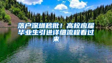 落户深圳秒批！高校应届毕业生引进详细流程看过来