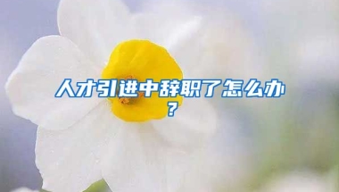 人才引进中辞职了怎么办？