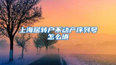 上海居转户不动产序列号怎么填