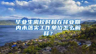 毕业生离校时和在择业期内未落实工作单位怎么解释？