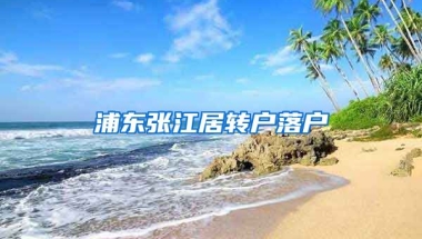 浦东张江居转户落户