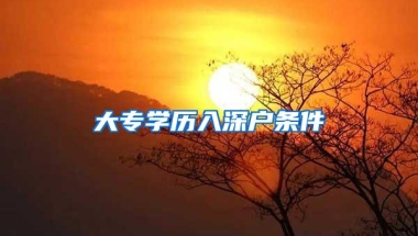 大专学历入深户条件