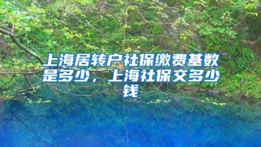 上海居转户社保缴费基数是多少，上海社保交多少钱