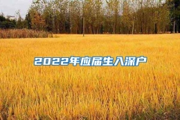 2022年应届生入深户