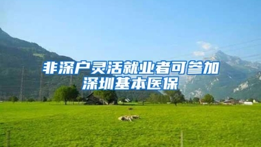 非深户灵活就业者可参加深圳基本医保