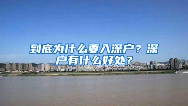 到底为什么要入深户？深户有什么好处？