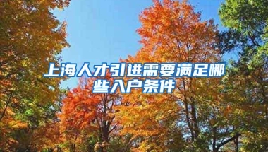 上海人才引进需要满足哪些入户条件