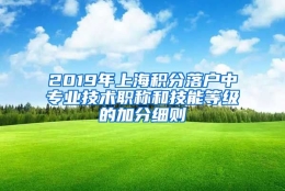 2019年上海积分落户中专业技术职称和技能等级的加分细则