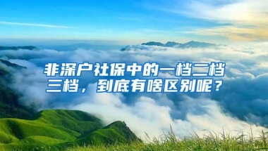 非深户社保中的一档二档三档，到底有啥区别呢？