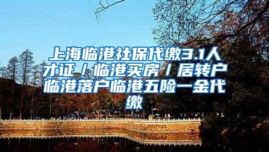 上海临港社保代缴3.1人才证／临港买房／居转户临港落户临港五险一金代缴