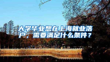 大学毕业想在上海就业落户，需要满足什么条件？