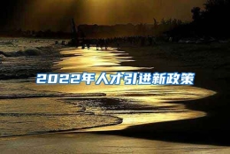 2022年人才引进新政策