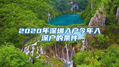 2020年深圳入户今年入深户的条件