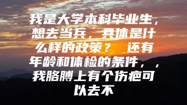 我是大学本科毕业生，想去当兵，具体是什么样的政策？ 还有年龄和体检的条件，，我胳膊上有个伤疤可以去不