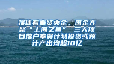 媒体看奉贤央企、国企齐聚“上海之鱼” 三大项目落户奉贤计划投资或预计产出均超10亿